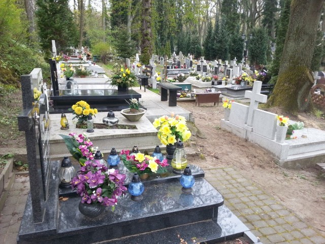 Zbigniew Ingielewicz mówi, że dzikie zwierzęta, na przykład koty, na starym cmentarzu mogą się pojawić, bo nekropolia ma charakter parku.