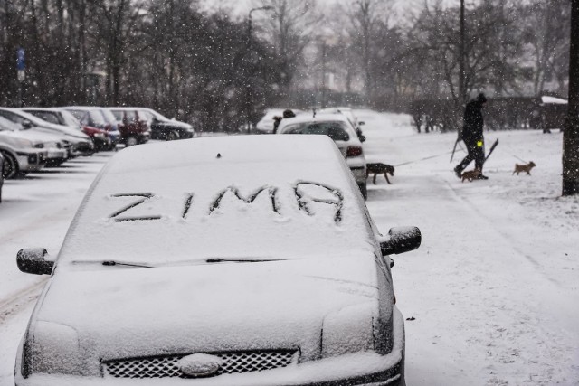 Mróz i śnieg? Jaka będzie zima 2020/21. Mamy najnowszą prognozę pogody