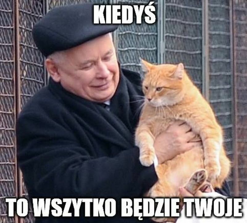 Jarosław Kaczyński i jego miłość do zwierząt. Zobacz najlepsze memy