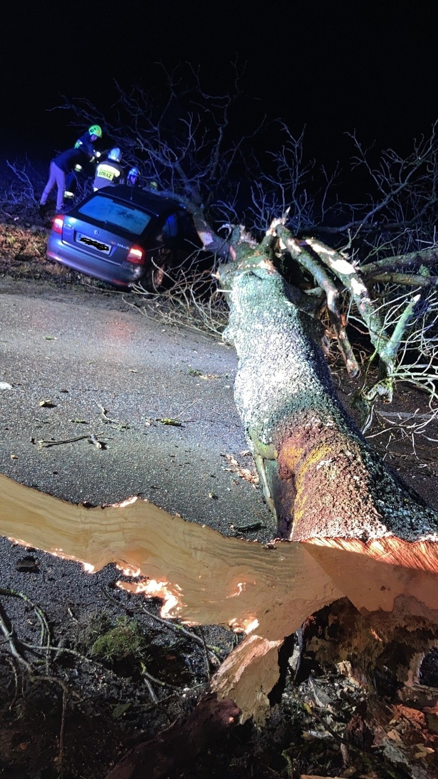 Kierowca osobówki uderzył w drzewo, które spadło na ulicę....