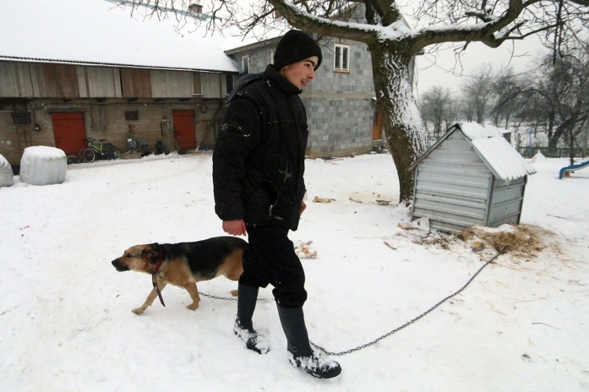 Święta według amiszów spod Janowa Lubelskiego. Bez choinki i prezentów