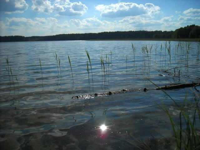 Bory Tucholskie to kraina pięknych, czystych jezior.