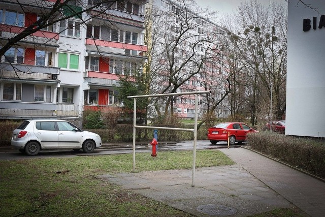 Geometryczny środek Wrocławia na zieleńcu w pobliżu ulicy Rysiej (osiedle Popowice)