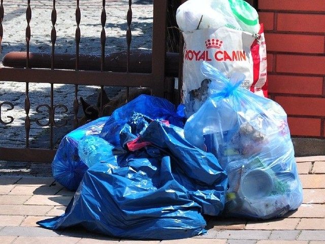 Mieszkańcy domów jednorodzinnych w Tarnobrzegu są nie mają koszy na odpady. Jaki jest tego efekt? Worki ze śmieciami na odbiór czekają przy ogrodzeniach posesji. Na zdjęciu ulica Borek w Tarnobrzegu.