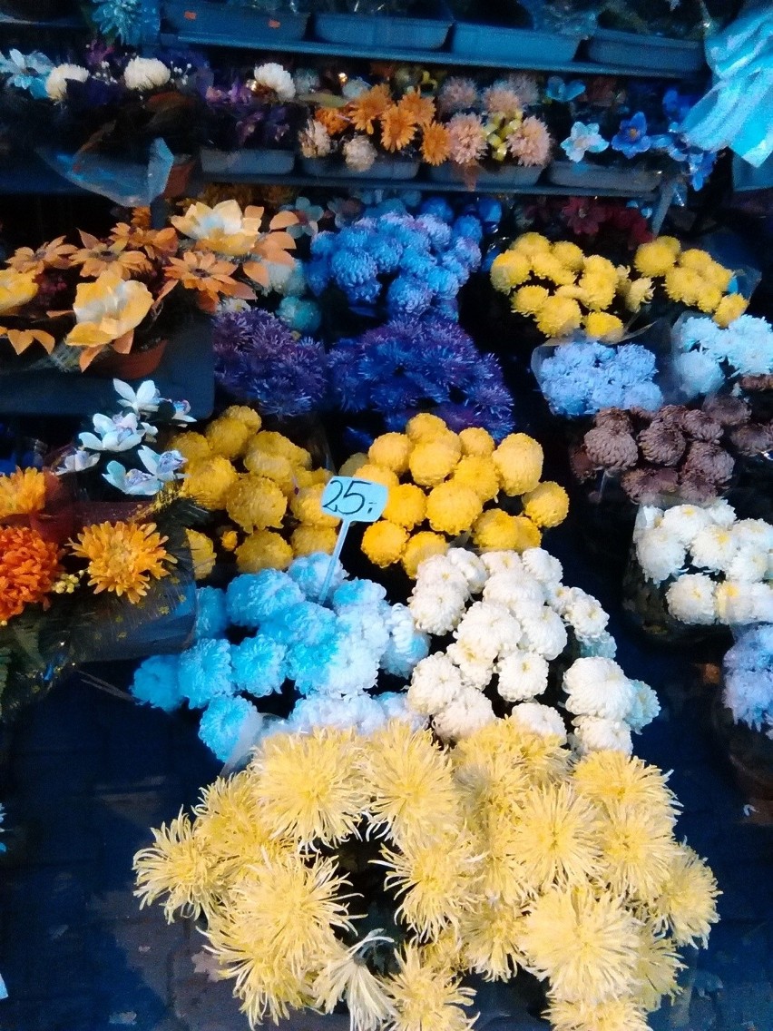 Wszystkich Świętych we Wrocławiu. Sprawdź, ceny kwiatów sprzedawanych przy cmentarzach (ZDJĘCIA)