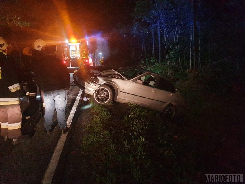 Wypadek w Jełowej. Kierowca bmw potrącił jelenia