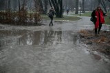 Kraków. Park Krakowski do poprawki. Możliwe wady ukryte