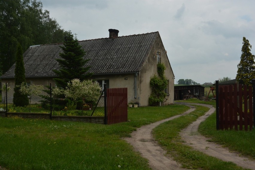 Spacery dalekie i bliskie po gminie Gniew: przystanek Gniewskie Młyny - Brody Pomorskie [ZDJĘCIA]