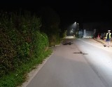 Nocna śmierć na drodze w Mikułowicach koło Buska! Szokujące okoliczności tragedii 