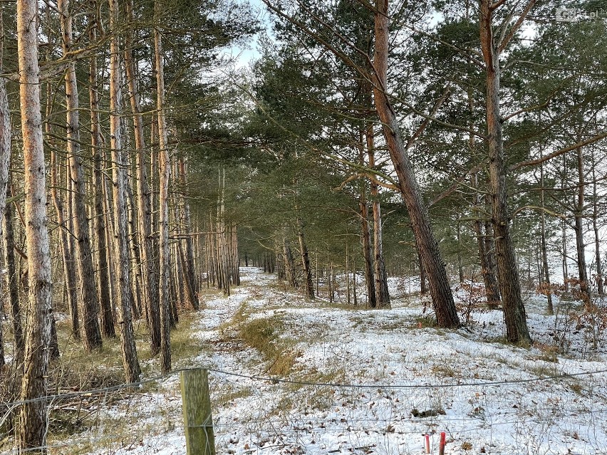 Spór o ścieżkę rowerową ze Świnoujścia do Międzyzdrojów 