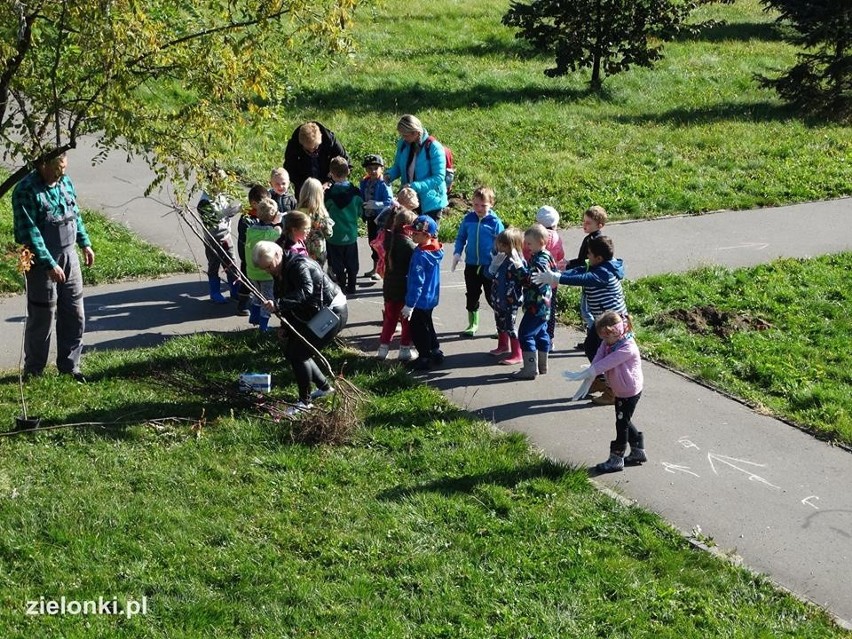 Półdziki skwer w Zielonkach pod lupą najmłodszych odkrywców przyrody