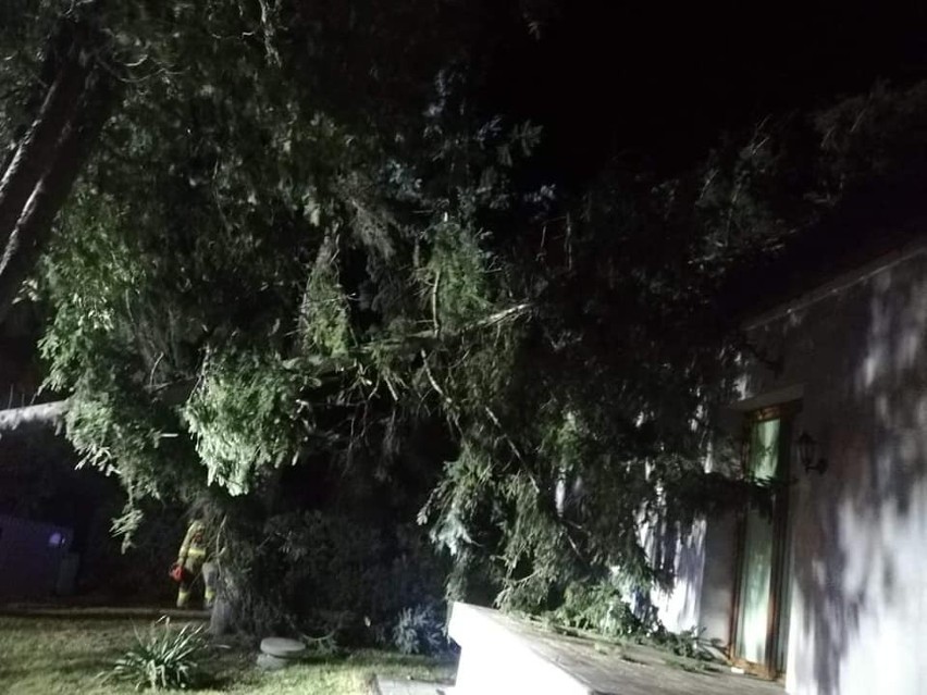 Silny wiatr przewrócił drzewo na dom jednorodzinny w Przeworsku [ZDJĘCIA]