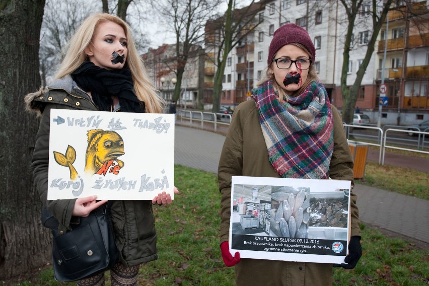 Protest przeciwko sprzedaży żywych karpi (wideo, zdjęcia)