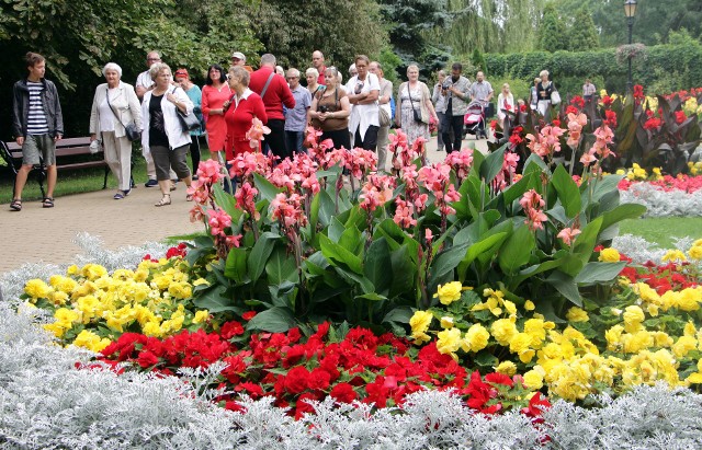 Dzisiejszy spacer z ogrodu botanicznego do centrum poprowadził przewodnik PTTK Piotr Łukiewski.