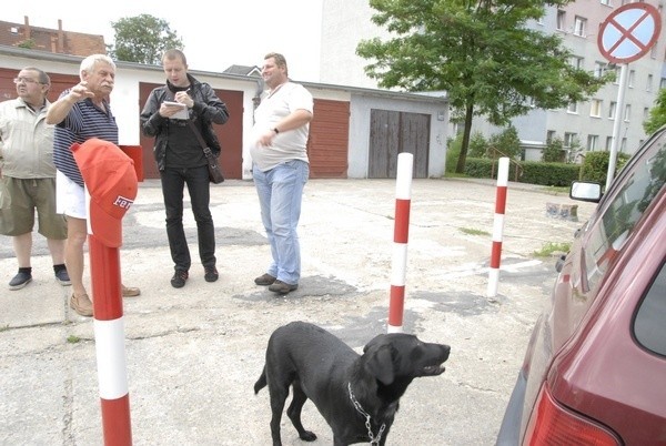 Mieszkańcy ulicy Jana Kazimierza chcą jak wcześniej parkować auta przy ul. Ostroroga. 