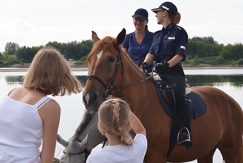 Koń w takim plutonie musi być własnością policji, czyli...