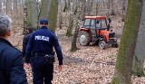 Tragedia w lesie pod Czarnocinem. Drzewo przygniotło pracownika