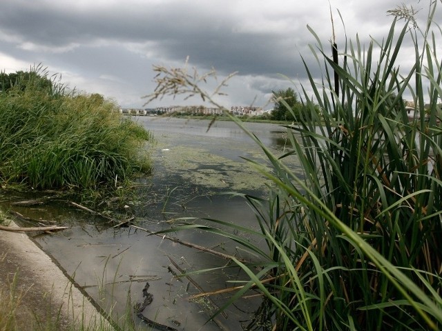 Rzeszowski zalew na Wisłoku powstał w latach 70-tych. Od tej pory odmulano go tylko doraźnie. W tej chwili na dnie zalega ok. milion metrów sześciennych namułu.