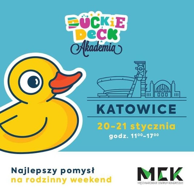 Akademia Duckie Deck w Katowicach