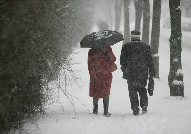 Ferie zimowe ze śniegiem? Niestety uczniowie o lepieniu bałwana mogą zapomnieć. Przez najbliższe dwa tygodnie we Wrocławiu i na nizinach będą utrzymywać się temperatury dodatnie/zdjęcie ilustracyjne