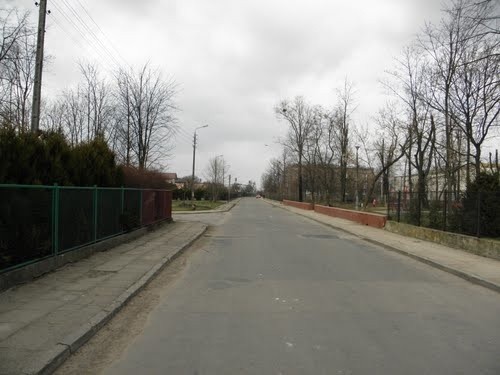 Ulica Sienkiewicza w Wierzbicy