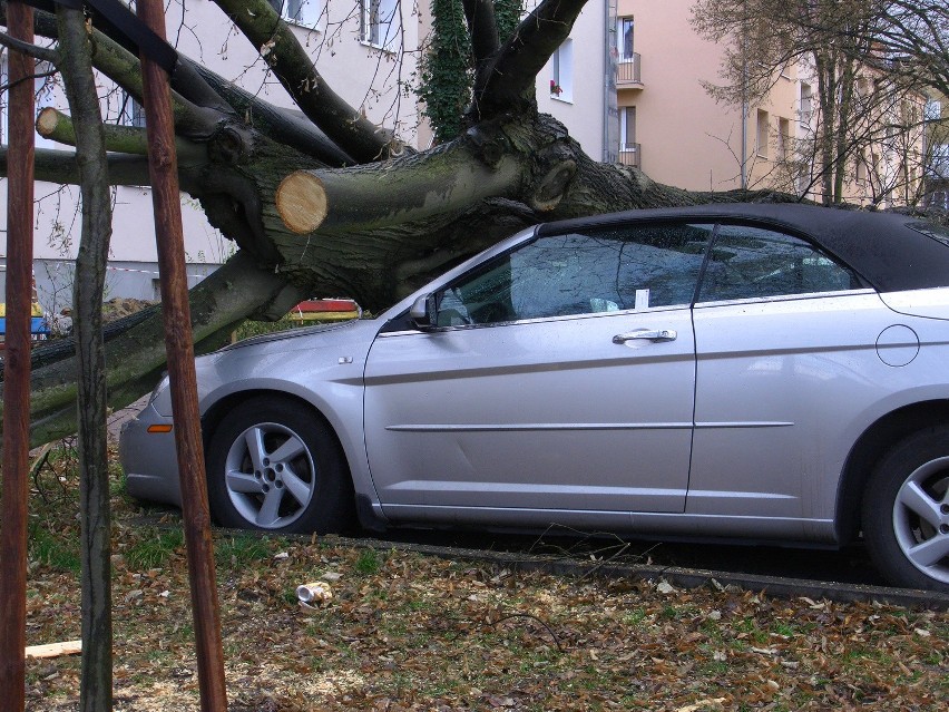 Zniszczone przez drzewo samochody przy ul. Wyspiańskiego w...