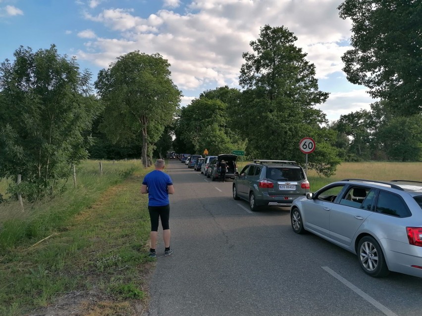 Tak wygląda sytuacja przed promem w Pomorsku.