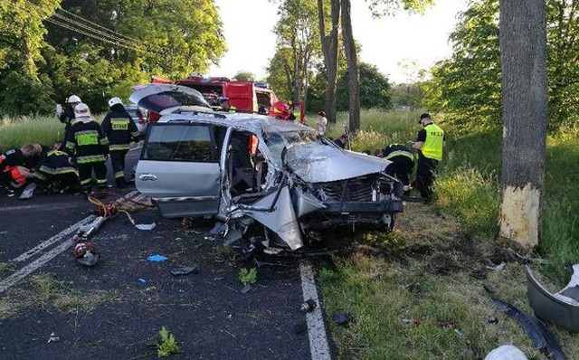 W czwartek, 1 czerwca, niedaleko miejscowości Mościczki w pow. gorzowskim kia uderzyła w drzewo. Samochodem jechała czteroosobowa rodzina. Kierowca z nieustalonych przyczyn zjechał z drogi i uderzył w drzewo. Poszkodowani zostali dwaj jadący w samochodzie chłopcy (5 i 8 lat) oraz 27-letnia kobieta, która była uwięziona w pojeździe. Strażacy musieli rozcinać auto, aby się do niej dostać. Kobieta prawdopodobnie ma złamaną nogę. Cała czwórka została przetransportowana do gorzowskiego szpitala. Kierowca był trzeźwy. Na drodze 132 został wprowadzony ruch wahadłowy.Policjanci wyjaśniają, jak doszło do wypadku na prostym odcinku drogi. – Ładna pogoda, do tego oślepiające słońce może bardzo szybko zmylić naszą czujność podczas jazdy samochodem, pamiętamy o tym – mówi nadkom. Waraksa i przypomina o ostrożności za kierownicą. – Lepiej dojedźmy później, ale bezpiecznie. [b]Przeczytaj również:   Krok od tragedii w Nowogrodzie Bobrzańskim. Chciała zabić męża. Zadała mu cios nożemZobacz też: Wypadek autokaru. Dzieci trafiły na badania do szpitala w Zielonej Górze