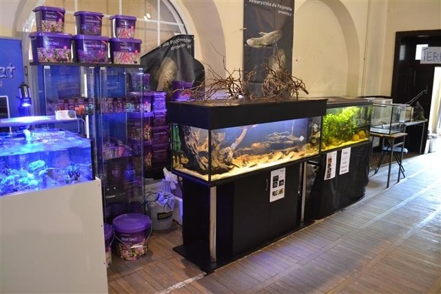 Na wystawie nie zabrakło nie tylko egzotycznych, rzadko spotykanych gatunków ryb (m.in. płaszczek), ale także sprzętu do prowadzenia własnego akwarium.
