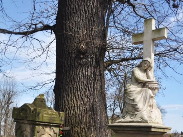 Zabytkowe nagrobki wielickiej nekropolii ratują społecznicy prowadzący kwestę we Wszystkich Świętych
