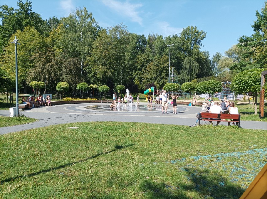 Park Kuronia w Sosnowcu