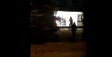 Akcja jak z filmu sensacyjnego w Poznaniu! Policjanci zatrzymali groźnego przestępcę. Był poszukiwany na podstawie 22 nakazów. Zobacz wideo