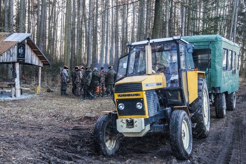 Aktywiści zablokowali polowanie i... posprzątali las