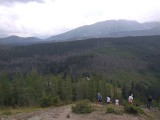 Tatry. Lasy usychają na potęgę. Tak dużo suchych drzew już dawno nie było 