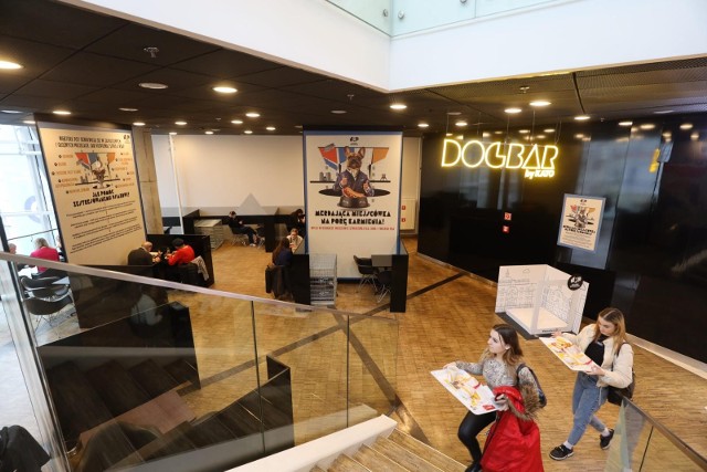 W Galerii Katowickiej powstał Dogbar, czyli specjalna strefa dla osób odwiedzających centrum handlowe z psami.