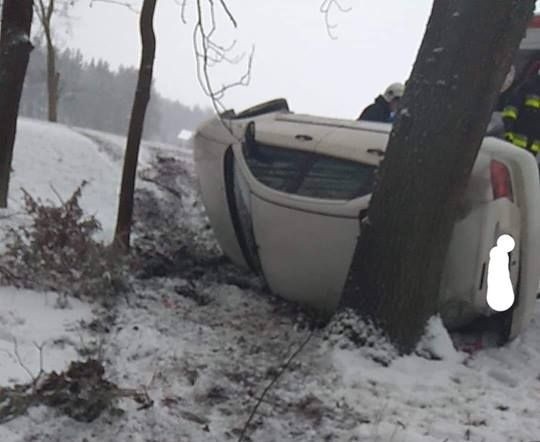 Świdwiborek. Wypadek osobówki: auto zakończyło podróż na drzewie [ZDJĘCIA]