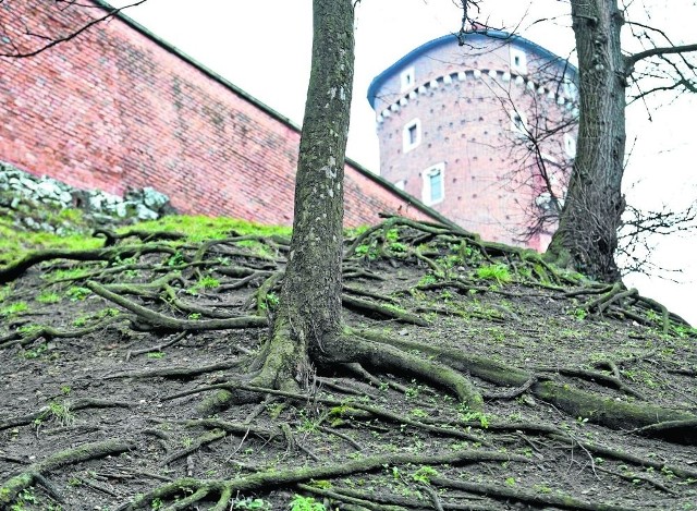 Wawel od lat czeka na odpowiednią oprawę