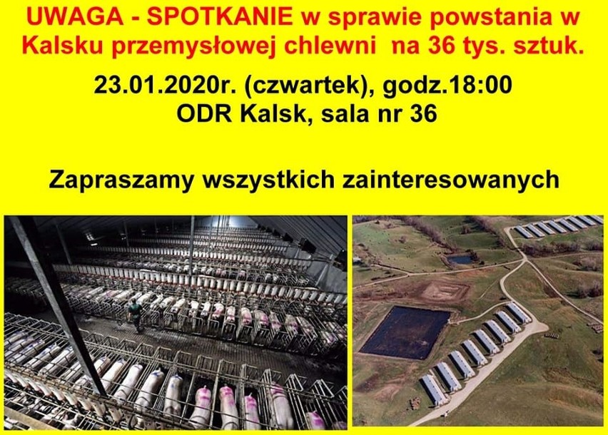 KALSK. Protest przeciwko wielkiej chlewni w Kalsku. W czwartek spotkanie mieszkańców okolicznych miejscowości