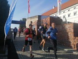 III Jarski Bieg na Zdrowie z Sandomierza do Andruszkowic. 30 biegaczy i 17 kijkarzy na trasie. Zobacz zdjęcia z imprezy