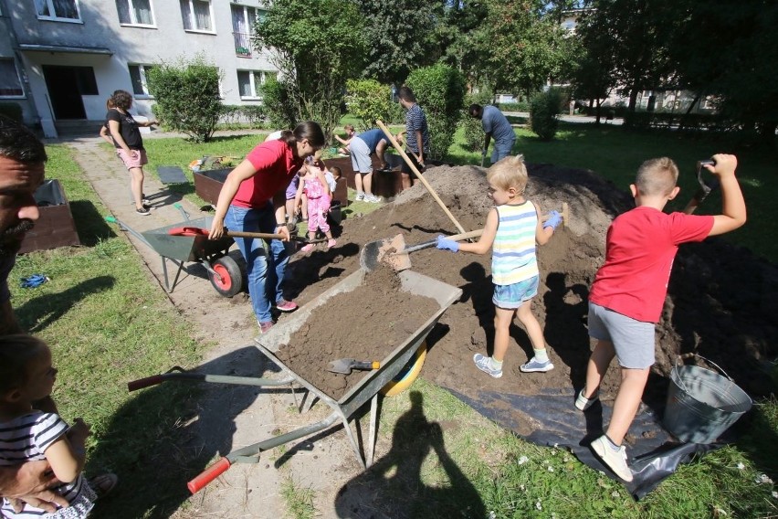 Ogród marzeń powstał na kieleckim Czarnowie. Zasadzili kwiaty, warzywa, a nawet zioła