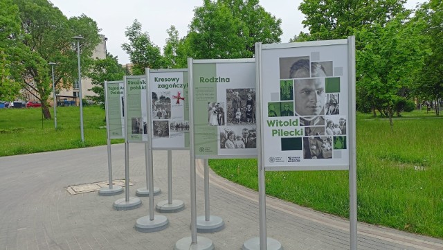 W Parku Miejskim im. Adama Bienia w Staszowie prezentowana jest biograficzna wystawa przedstawiająca losy Witolda Pileckiego