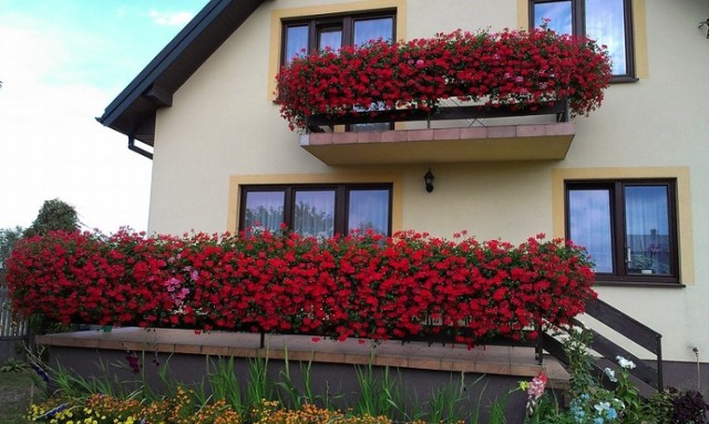 Balkon pani Agnieszki prowadzi w naszym plebiscycie. Głosowanie kończy się dzisiaj.