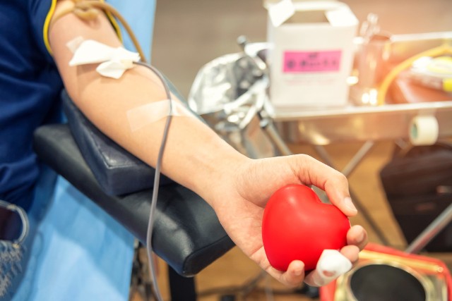 Jakie są przywileje Honorowych Dawców Krwi? Sprawdź, co otrzymasz za donację!