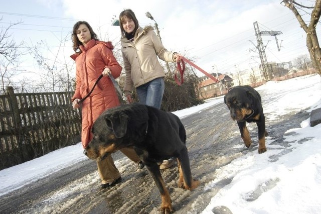 Magda Stefańska (z prawej), pomysłodawczyni strony, każdą wolną chwilę spędza w schronisku. - Staram się pomóc - mówi wolontariuszka. Na zdjęciu z Olą Wurst.