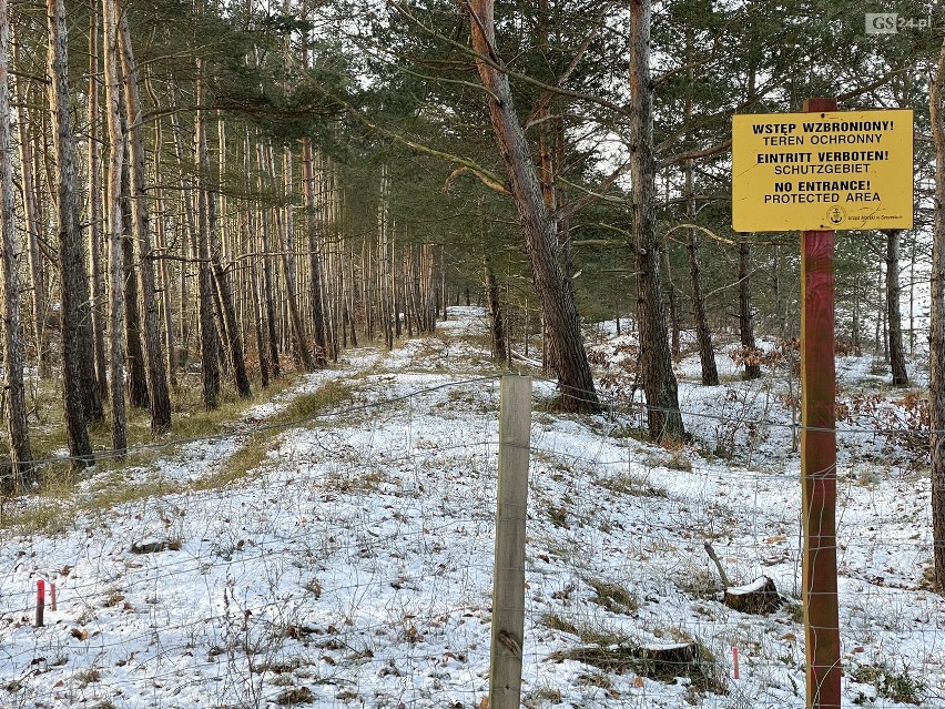 Spór o ścieżkę rowerową ze Świnoujścia do Międzyzdrojów 