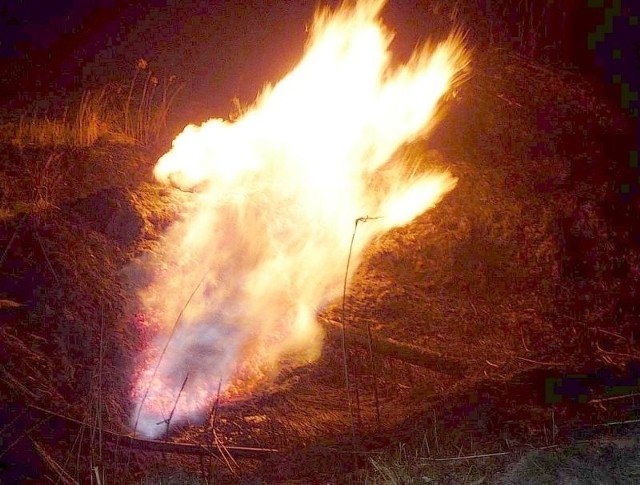 Strażacy przez dwie godziny gasili płonący rurociąg gazowy w Grzybowie. Wszystko przez wypalanie traw.