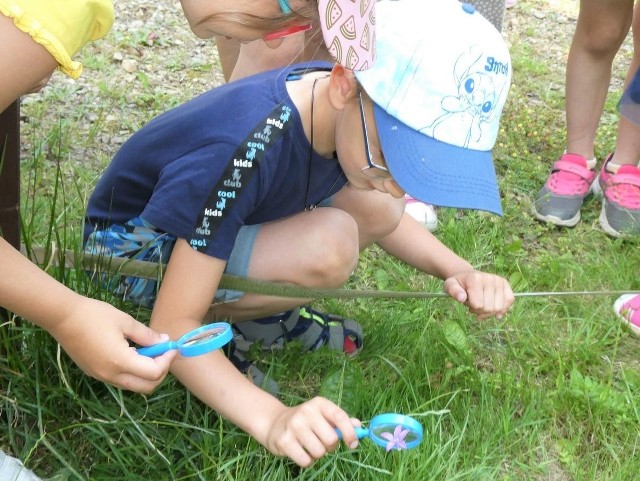 Projekt "Ogrodowych Skrzynek Kontaktowych" w Chełmku rozpoczął się od terenowej wyprawy grupy aktywnych badaczy przyrody – dzieci oraz dorosłych z doktor biologii Ireną Walentyńską