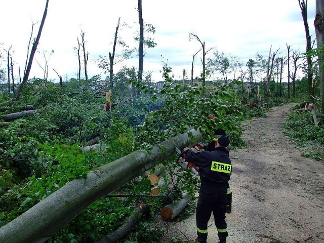 Tak wyglądał park w Błotnicy Strzeleckiej po przejściu tornada w 2008 r. Dzięki pracy strażaków i więźniów, powalone drzewa zostały uprzątnięte. Ale dziś park świeci pustkami.