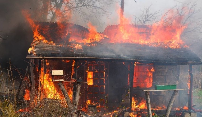 Groźny pożar na działkach w Opolu