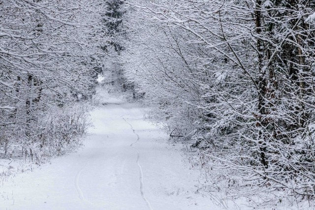 Prognoza pogody w województwie podlaskim. To będzie mroźny weekend (15.01-17.01) w regionie. Ile stopni będzie w Podlaskiem?